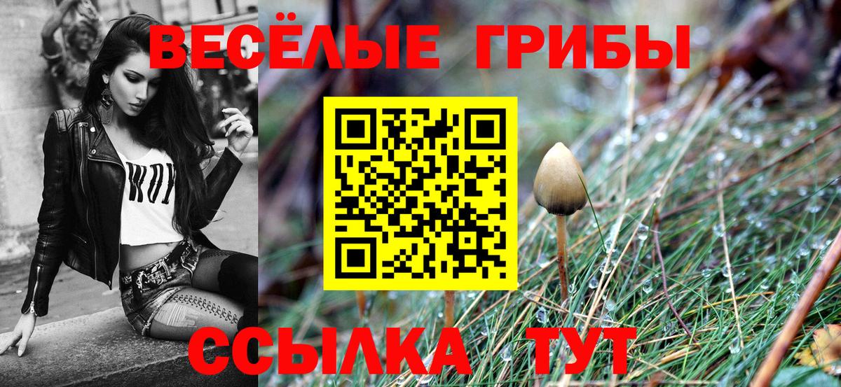 Галлюциногенные грибы мицелий  Вход с VPN  Учалы 