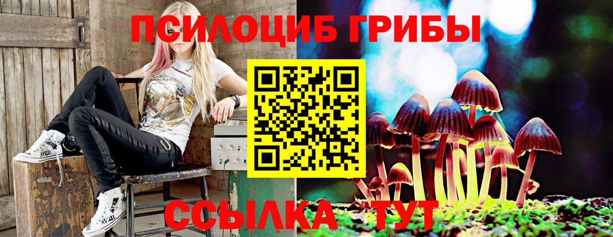 Псилоцибиновые грибы Psilocybe Учалы